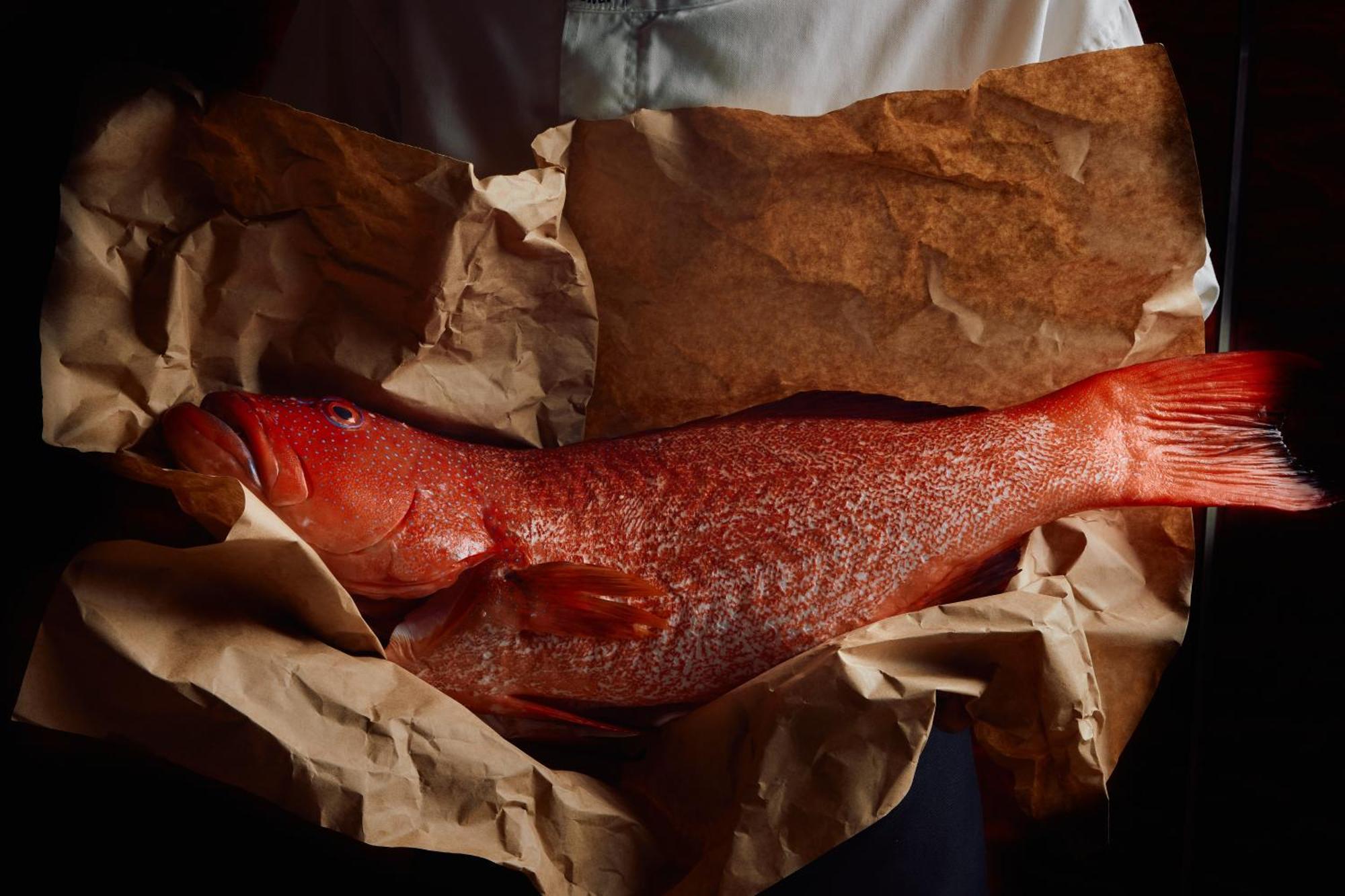 Hotel Park Hyatt Melbourne City Exterior foto A smoked turbot